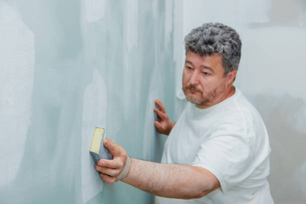 Best Asbestos and Lead Testing During Mold Inspection  in Willoughby, OH