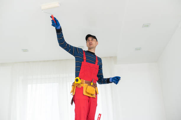  Willoughby, OH Mold Removal Pros