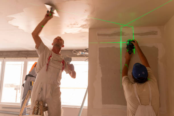 Best Comprehensive Air Testing for Mold Contaminants  in Willoughby, OH