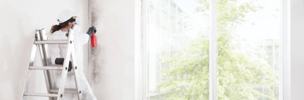 Best Indoor Air Quality Assessment  in Willoughby, OH
