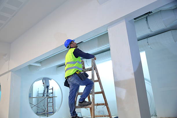 Best Crawl Space Mold Remediation  in Willoughby, OH