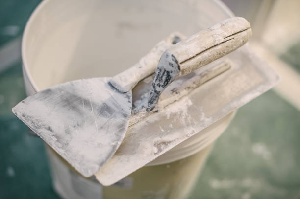 Trusted Willoughby, OH Mold Removal Experts